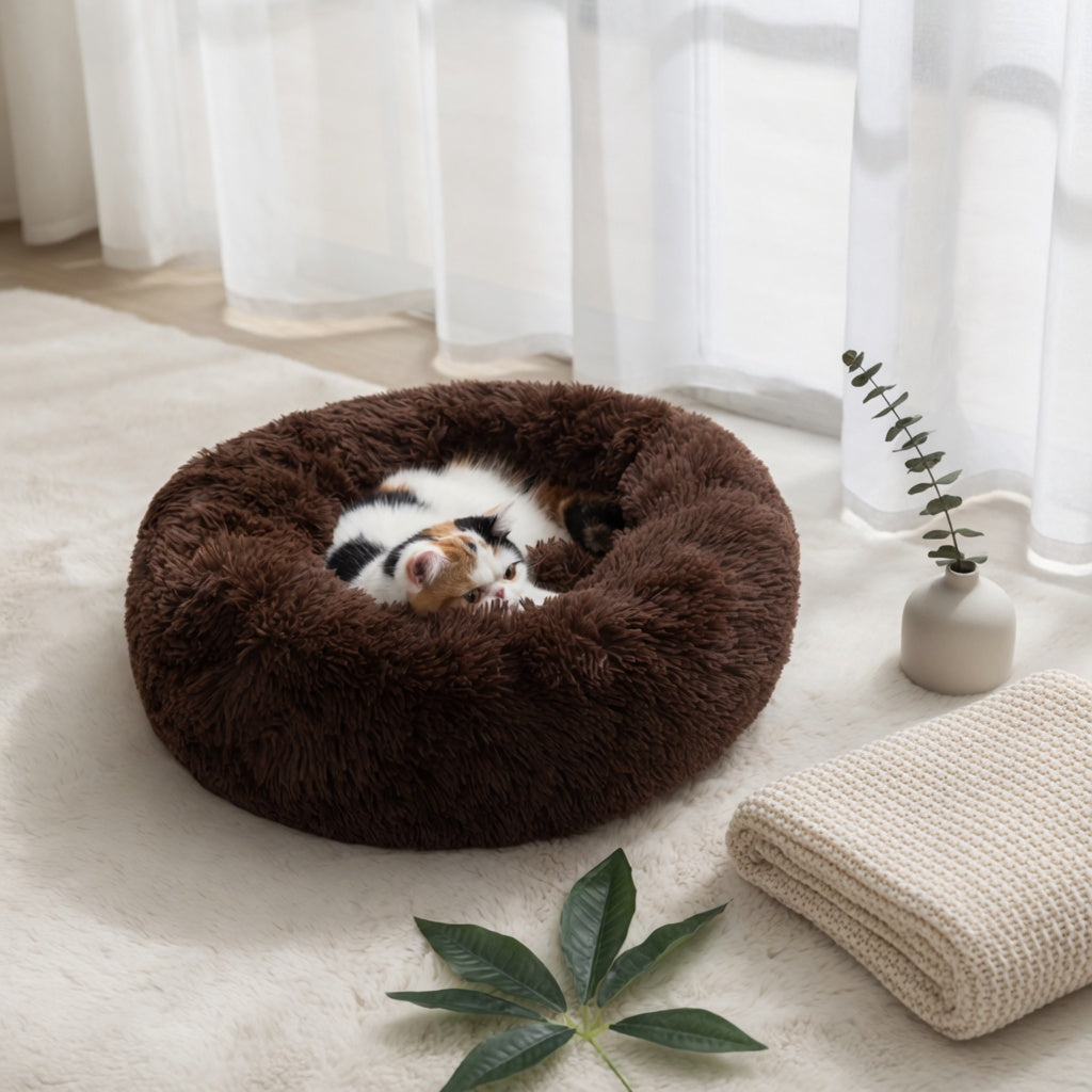 A pet who settles into their favorite spot